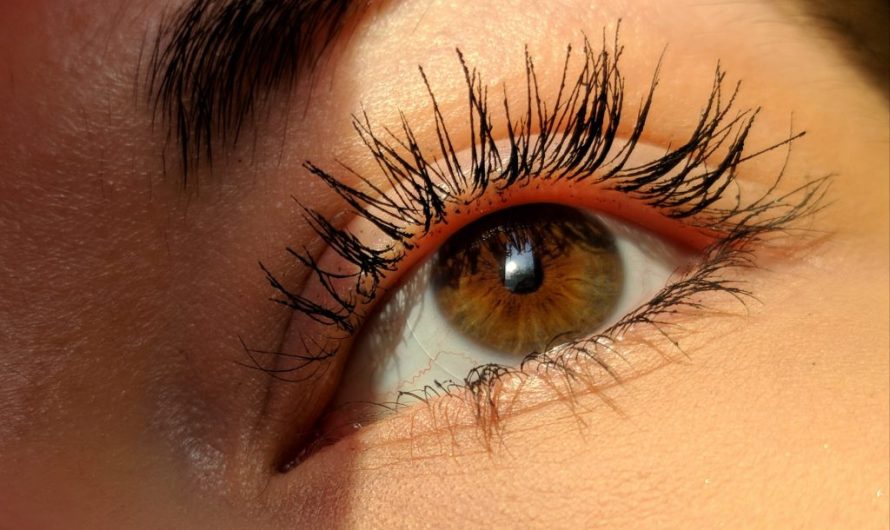 Czy rzęsy odrastają? Dowiedz się jak przyspieszyć wzrost!
