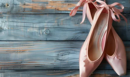 elegant pink ballet shoes rustic wp